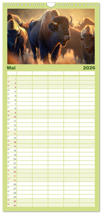 Amerikanischer Bison (CALVENDO Familienplaner 2026)