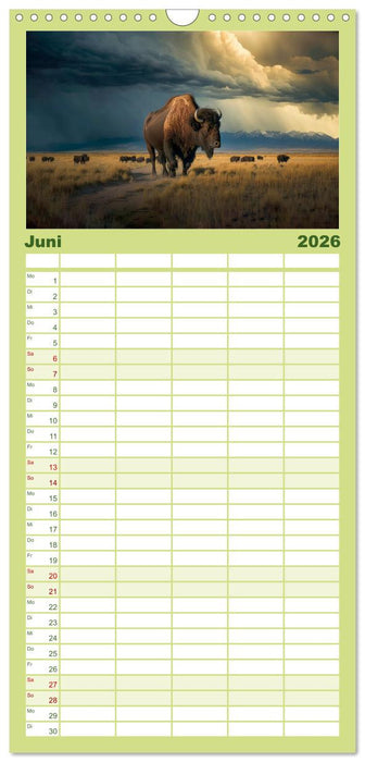 Amerikanischer Bison (CALVENDO Familienplaner 2026)