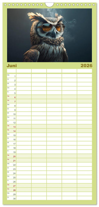 Eule gut... alles gut! (CALVENDO Familienplaner 2026)