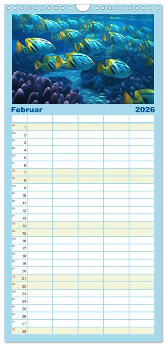 Fantasie bei die Fische! (CALVENDO Familienplaner 2026)