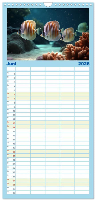Fantasie bei die Fische! (CALVENDO Familienplaner 2026)