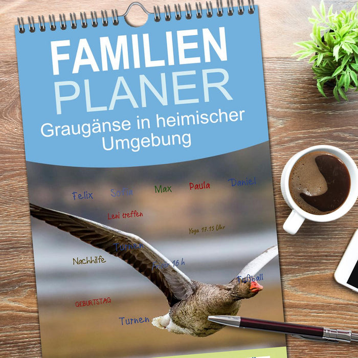 Graugänse in heimischer Umgebung (CALVENDO Familienplaner 2026)