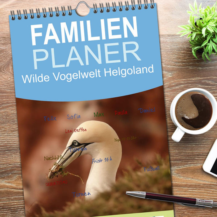 Wilde Vogelwelt Helgoland (CALVENDO Familienplaner 2026)