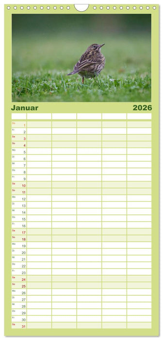 Wilde Vogelwelt Helgoland (CALVENDO Familienplaner 2026)