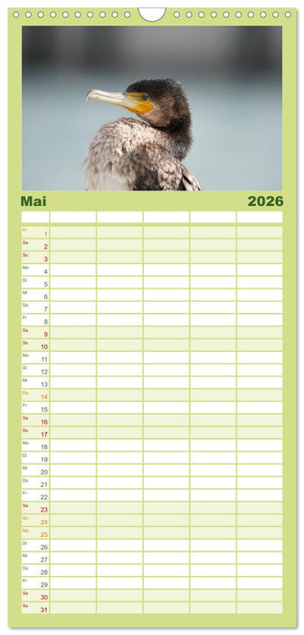 Wilde Vogelwelt Helgoland (CALVENDO Familienplaner 2026)