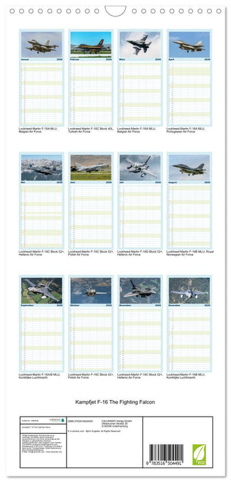 Kampfjet F-16 The Fighting Falcon (CALVENDO Familienplaner 2026)