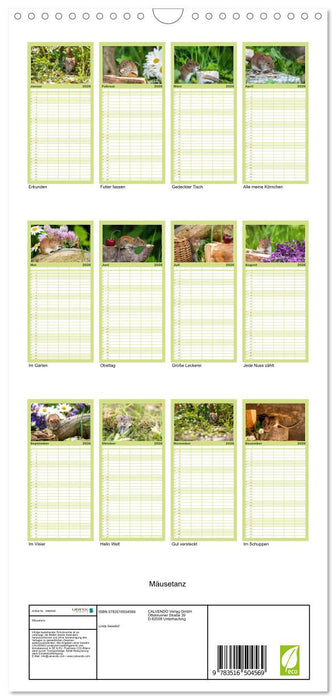 Mäusetanz (CALVENDO Familienplaner 2026)