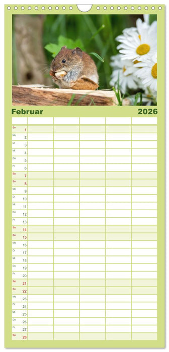 Mäusetanz (CALVENDO Familienplaner 2026)