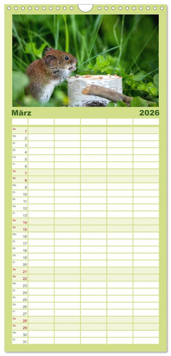 Mäusetanz (CALVENDO Familienplaner 2026)