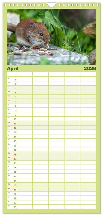 Mäusetanz (CALVENDO Familienplaner 2026)