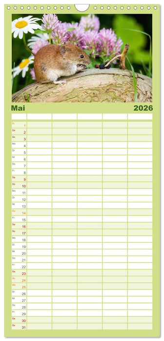 Mäusetanz (CALVENDO Familienplaner 2026)