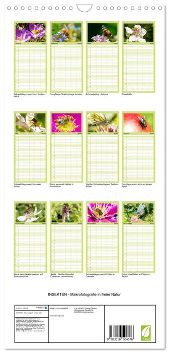INSEKTEN - Makrofotografie in freier Natur (CALVENDO Familienplaner 2026)