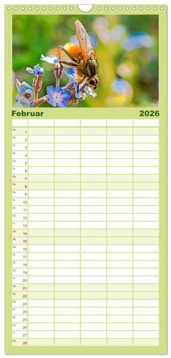 INSEKTEN - Makrofotografie in freier Natur (CALVENDO Familienplaner 2026)