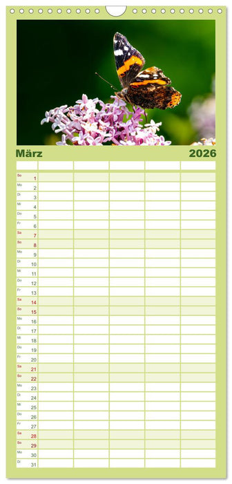 INSEKTEN - Makrofotografie in freier Natur (CALVENDO Familienplaner 2026)