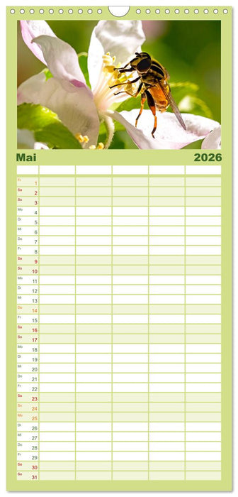 INSEKTEN - Makrofotografie in freier Natur (CALVENDO Familienplaner 2026)