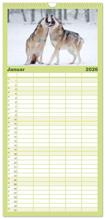 Magie Heimische Natur (CALVENDO Familienplaner 2026)