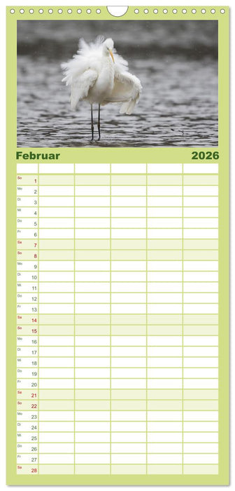 Magie Heimische Natur (CALVENDO Familienplaner 2026)