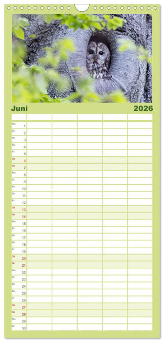 Magie Heimische Natur (CALVENDO Familienplaner 2026)