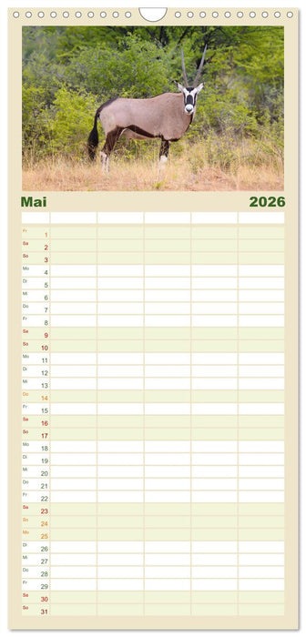 Roadtrip in Namibia (CALVENDO Familienplaner 2026)