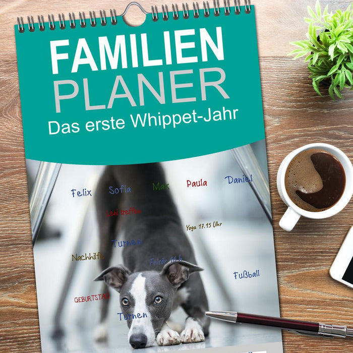 Das erste Whippet-Jahr (CALVENDO Familienplaner 2026)