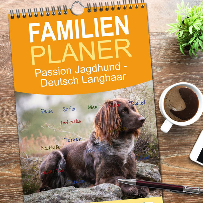 Passion Jagdhund - Deutsch Langhaar (CALVENDO Familienplaner 2026)