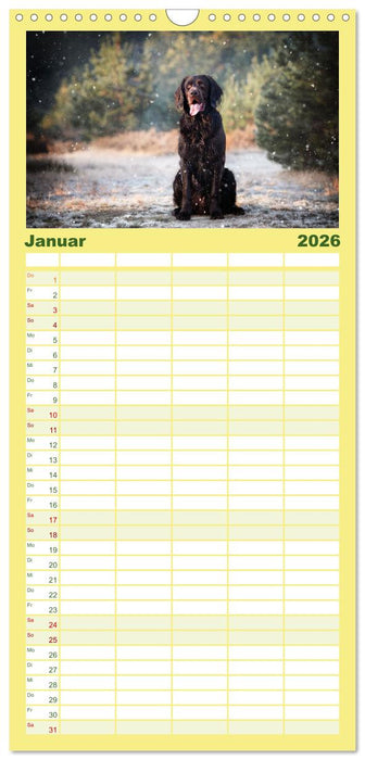 Passion Jagdhund - Deutsch Langhaar (CALVENDO Familienplaner 2026)