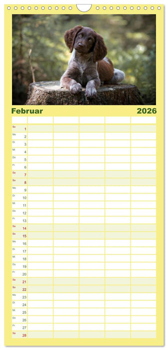 Passion Jagdhund - Deutsch Langhaar (CALVENDO Familienplaner 2026)
