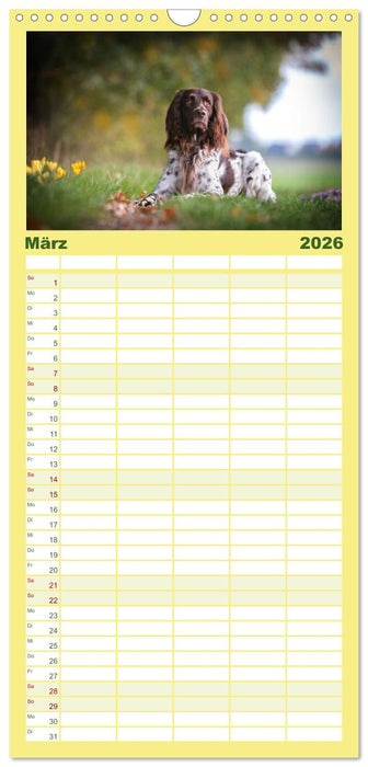 Passion Jagdhund - Deutsch Langhaar (CALVENDO Familienplaner 2026)