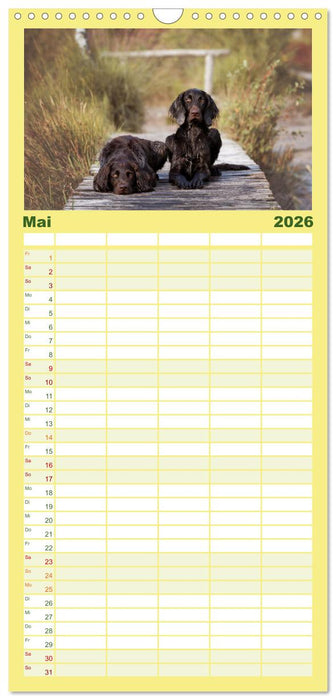 Passion Jagdhund - Deutsch Langhaar (CALVENDO Familienplaner 2026)
