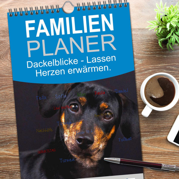 Dackelblicke - Lassen Herzen erwärmen. (CALVENDO Familienplaner 2026)