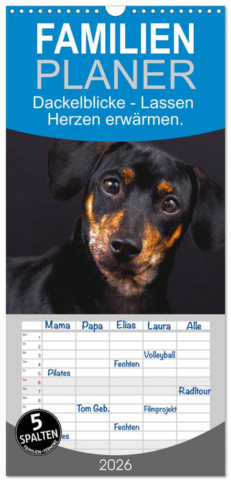 Dackelblicke - Lassen Herzen erwärmen. (CALVENDO Familienplaner 2026)