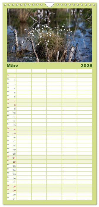 Hohes Moor Oldendorf (CALVENDO Familienplaner 2026)