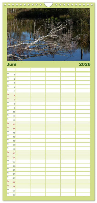 Hohes Moor Oldendorf (CALVENDO Familienplaner 2026)