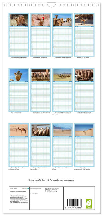Urlaubsgefühle - mit Dromedaren unterwegs (CALVENDO Familienplaner 2026)