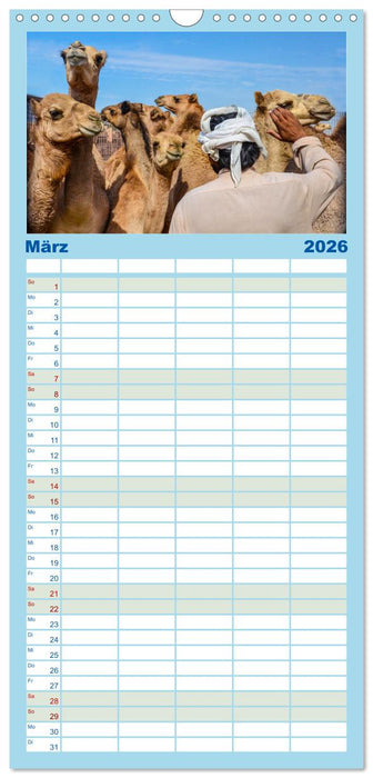 Urlaubsgefühle - mit Dromedaren unterwegs (CALVENDO Familienplaner 2026)