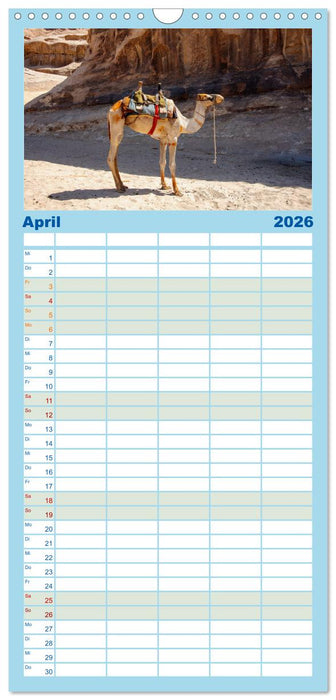 Urlaubsgefühle - mit Dromedaren unterwegs (CALVENDO Familienplaner 2026)