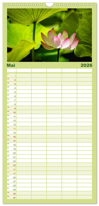 Trauminseln der Welt - Mauritius (CALVENDO Familienplaner 2026)