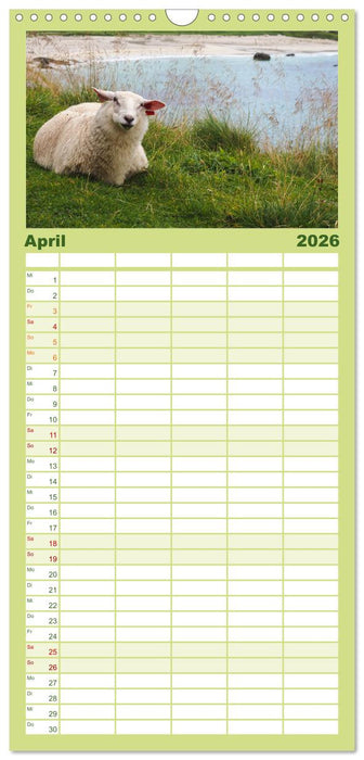 Spektakuläre Bergwelten Norwegen (CALVENDO Familienplaner 2026)