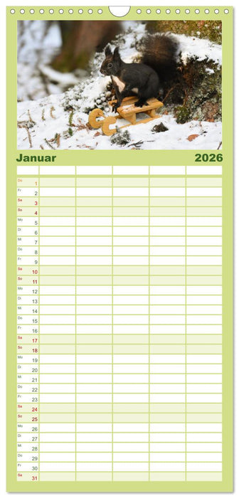 Geheimes Waldleben (CALVENDO Familienplaner 2026)