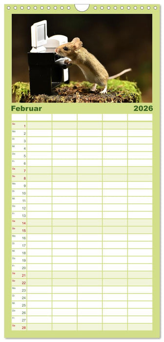 Geheimes Waldleben (CALVENDO Familienplaner 2026)