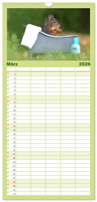 Geheimes Waldleben (CALVENDO Familienplaner 2026)