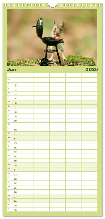 Geheimes Waldleben (CALVENDO Familienplaner 2026)