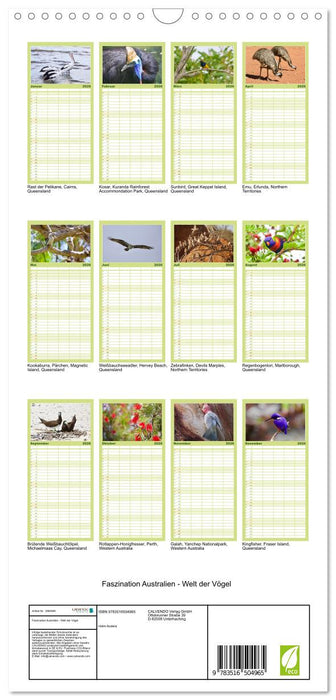 Faszination Australien - Welt der Vögel (CALVENDO Familienplaner 2026)