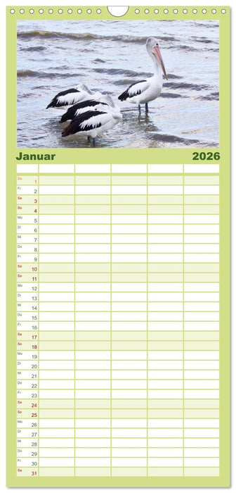 Faszination Australien - Welt der Vögel (CALVENDO Familienplaner 2026)