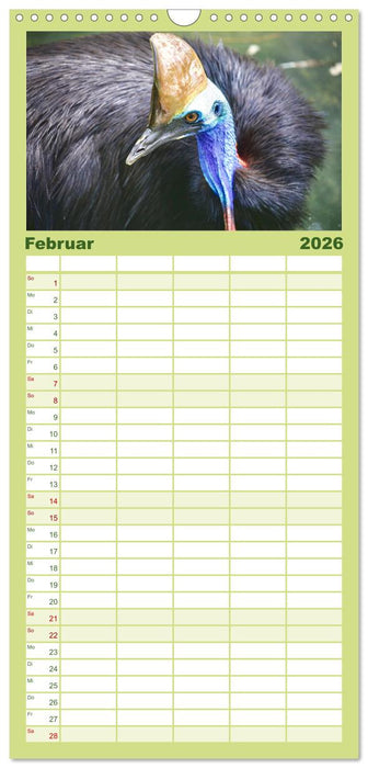 Faszination Australien - Welt der Vögel (CALVENDO Familienplaner 2026)