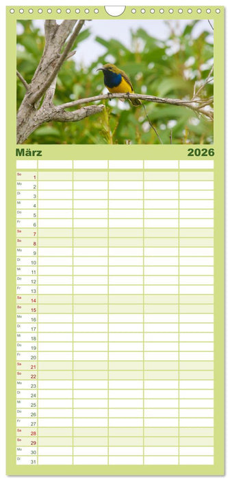 Faszination Australien - Welt der Vögel (CALVENDO Familienplaner 2026)