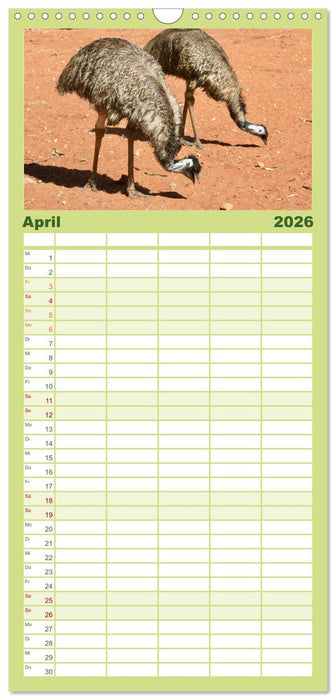 Faszination Australien - Welt der Vögel (CALVENDO Familienplaner 2026)