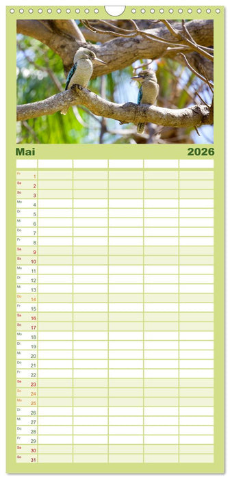 Faszination Australien - Welt der Vögel (CALVENDO Familienplaner 2026)