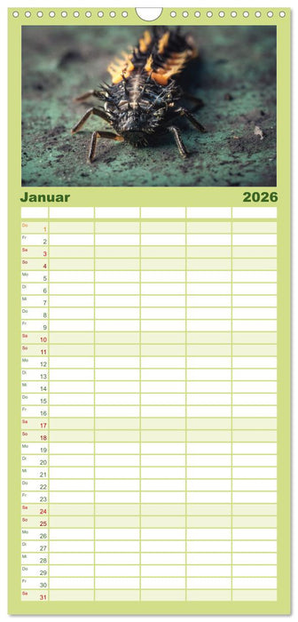 Makrowelten Tierreich (CALVENDO Familienplaner 2026)