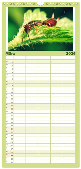 Makrowelten Tierreich (CALVENDO Familienplaner 2026)